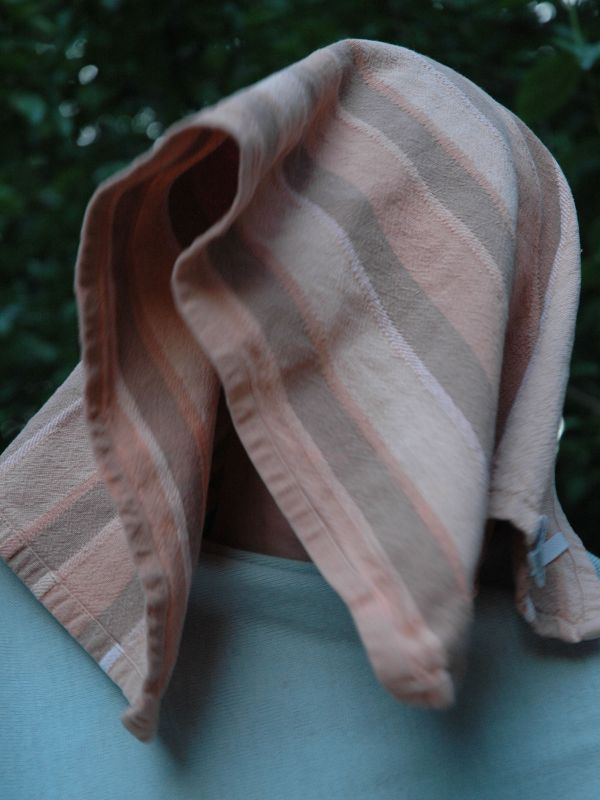 2009_07_14_-_Nikon_D70_-_005.JPG