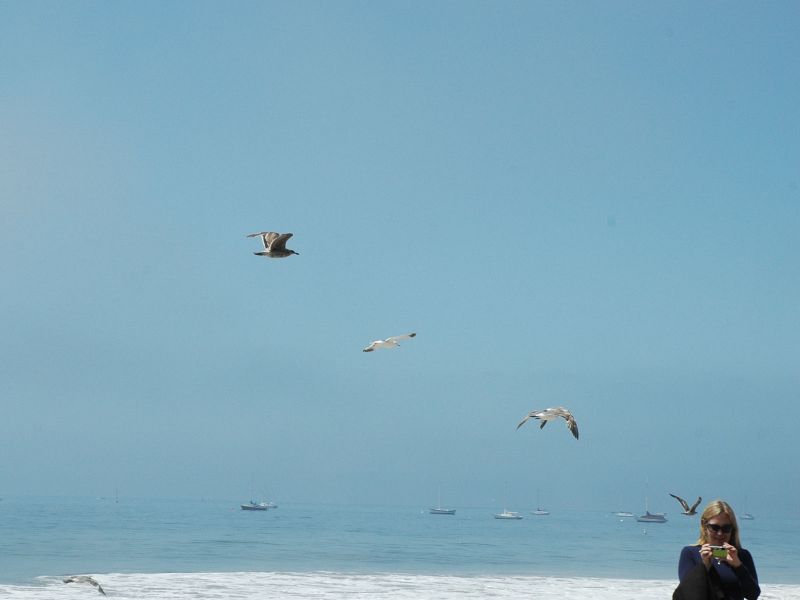2011_05_20_-_106_-_Nikon_D70.JPG