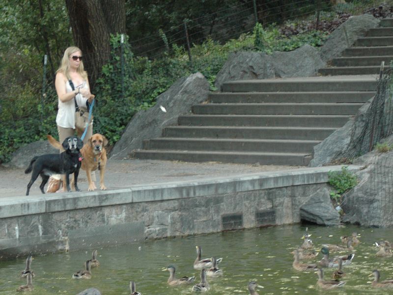 2011_09_03_-_026_-_Nikon_D70.JPG