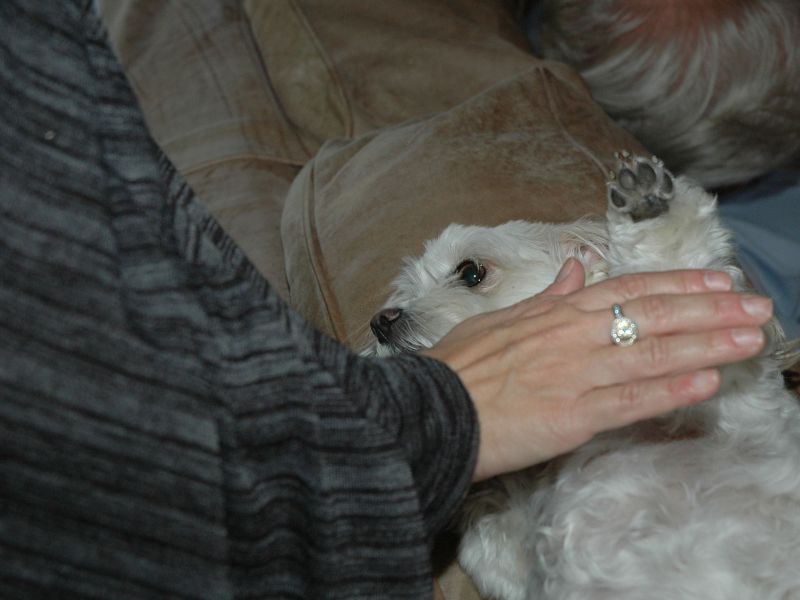 2011_11_24_-_030_-_Nikon_D70.JPG
