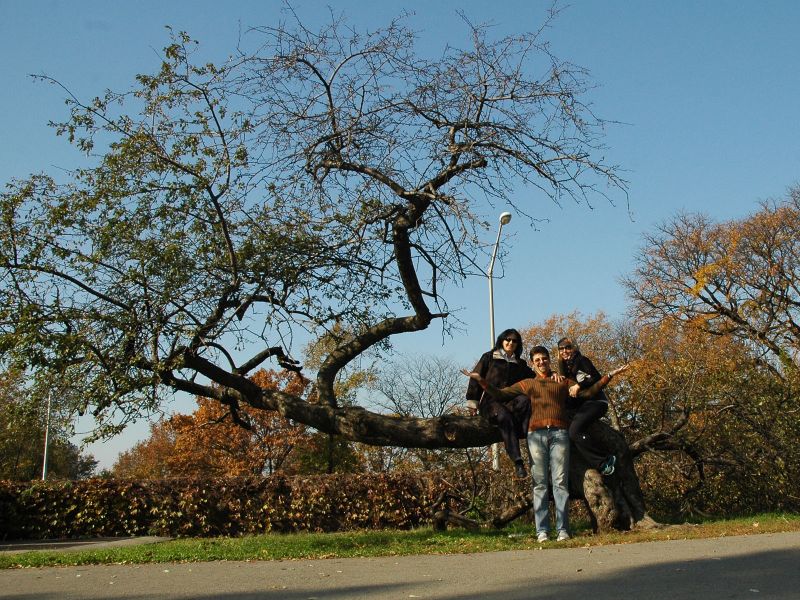 2012_11_11_-_005_-_Nikon_D70.JPG