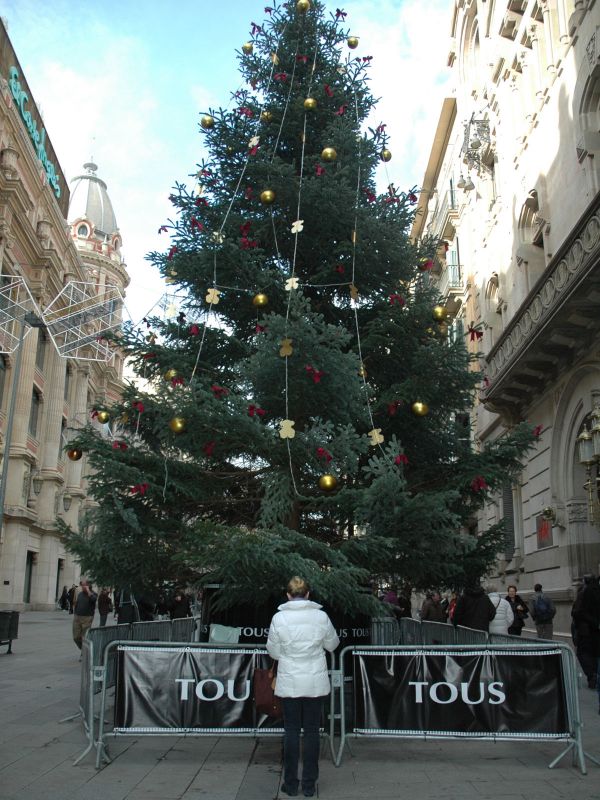 2012_12_12_-_010_-_Nikon_D70.JPG