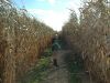 2013_10_27_-_080_-_Nikon_D70.JPG