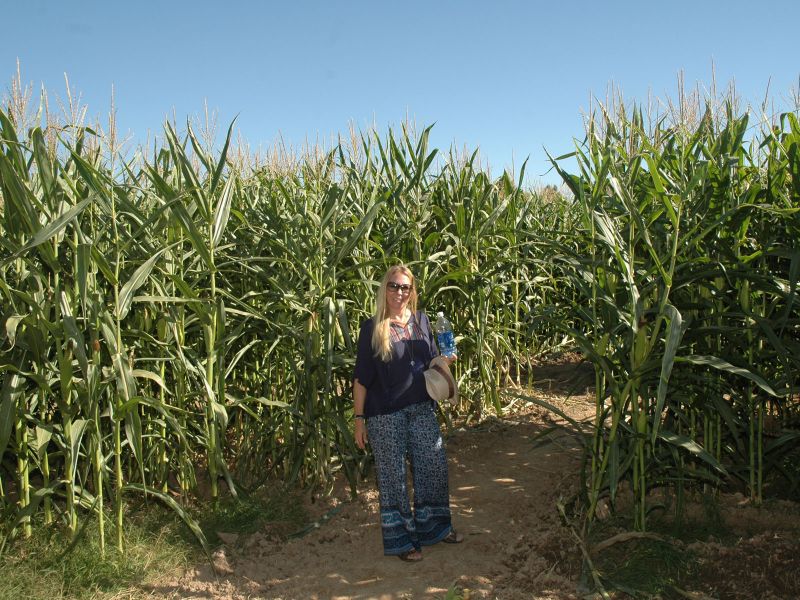 2014_10_05_-_112_-_Nikon_D70.JPG