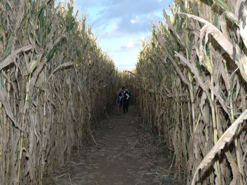 2014_10_18_-_131_-_Nikon_D70.JPG